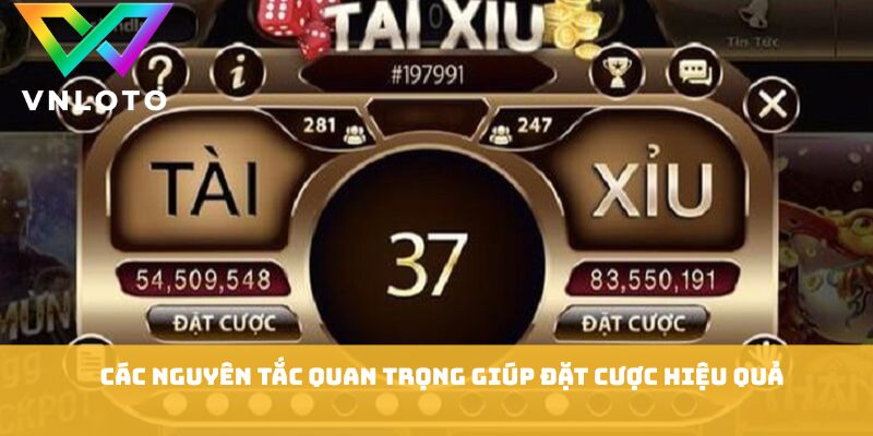 Cách Chơi Xí Ngầu - 7 Bí Quyết Cược Hiệu Quả Dễ Thắng 2 Các nguyên tắc quan trọng giúp đặt cược hiệu quả