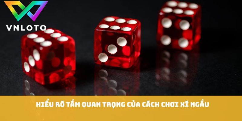 Cách Chơi Xí Ngầu - 7 Bí Quyết Cược Hiệu Quả Dễ Thắng 1 Hiểu rõ tầm quan trọng của cách chơi xí ngầu