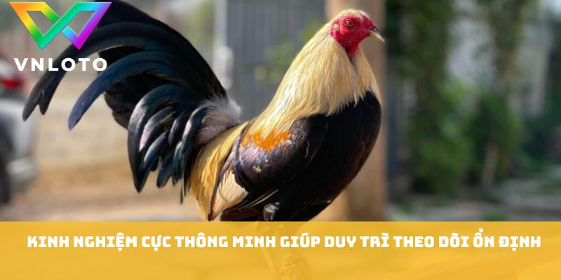 Đá Gà Miền Nam - 7 Kinh Nghiệm Theo Dõi Trận Hay 2026 3 Kinh nghiệm cực thông minh giúp duy trì theo dõi ổn định