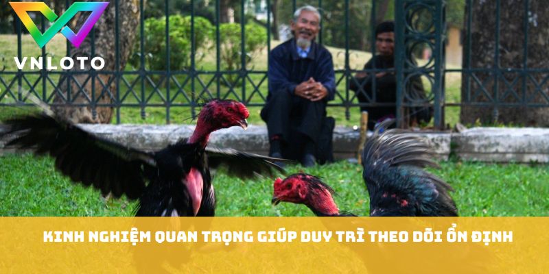 Đá Gà Thái Lan - Kinh Nghiệm Xem Trận Chuẩn Xác 2026 3 Kinh nghiệm quan trọng giúp duy trì theo dõi ổn định