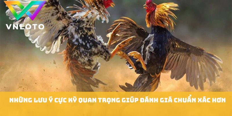 Đá Gà Miền Nam - 7 Kinh Nghiệm Theo Dõi Trận Hay 2026 2 Những lưu ý cực kỳ quan trọng giúp đánh giá chuẩn xác hơn