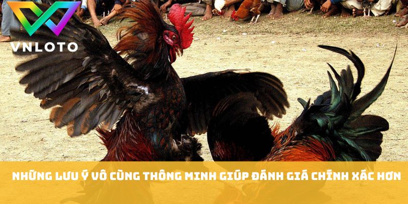 Đá Gà Thái Lan - Kinh Nghiệm Xem Trận Chuẩn Xác 2026 2 Những lưu ý vô cùng thông minh giúp đánh giá chính xác hơn