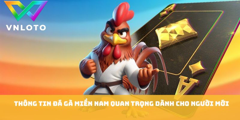 Đá Gà Miền Nam - 7 Kinh Nghiệm Theo Dõi Trận Hay 2026 1 Thông tin đá gà miền nam quan trọng dành cho người mới